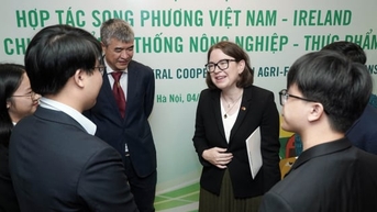 Khi tri thức thành sức mạnh trong hợp tác Việt Nam - Ireland