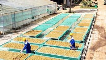 Vượt Mỹ, châu Á thành thị trường nhập khẩu nông sản lớn nhất của Việt Nam