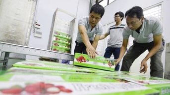 Công nghệ chiếu xạ cấp ‘visa vàng’ cho nông sản Việt