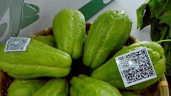 Thúc đẩy tiêu thụ nông sản gắn với chuyển đổi số