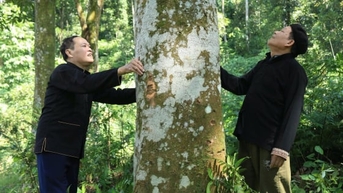 'Cây hạnh phúc' ở Xuân Ái