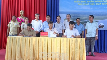 Đất Mới triển khai nhân rộng mô hình nuôi tôm thẻ chân trắng siêu thâm canh