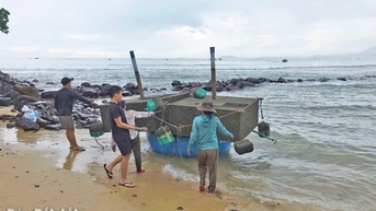 Chạy “nước rút” trước bão mạnh