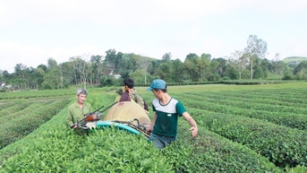 Những kết quả và con số nổi bật của ngành Nông nghiệp và Môi trường Nghệ An giai đoạn 2020 - 2025