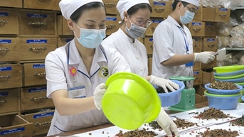 Phát triển y dược cổ truyền - mở lối cho công nghiệp dược Việt Nam hội nhập