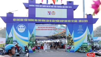 Mang sản phẩm đi xa, mang văn hóa đi cùng