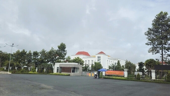 Xây dựng vững chắc nền tảng lý luận của Đảng