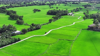 Xanh thẳm miền sơn cước