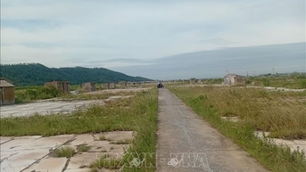 Muối rớt giá, những đồng muối ở xứ Thanh hoang hóa từng ngày