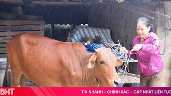 Kịp thời trao "cần câu" cho nhiều hoàn cảnh khó khăn ở Đức Thọ