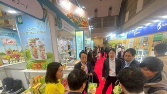 Xuất khẩu trực tuyến: Tiềm năng còn lớn