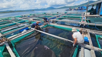 Khánh Hòa cho học sinh nghỉ học ngày 6-7/11 để ứng phó bão số 13