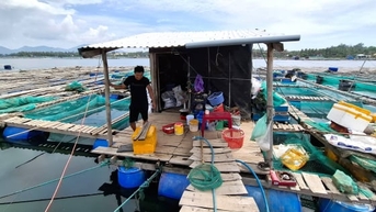 Người nuôi trồng thủy sản Đắk Lắk chạy 'nước rút' ứng phó bão số 13