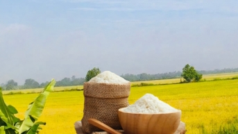 Giá lúa gạo hôm nay ngày 5/11: Thị trường trầm lắng