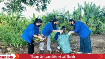 Bảo vệ môi trường - hành động thiết thực từ mỗi tổ chức, cá nhân