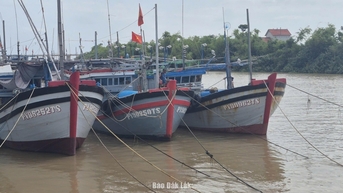 Chủ động từ sớm, từ xa để ứng phó với bão số 13