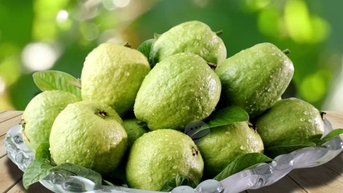Hợp tác xã Việt Hưng 'mở đường' cho sản phẩm miền núi vươn xa