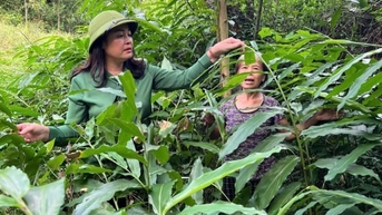 Thiện Long đặt tương lai trên kinh tế rừng