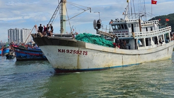 Ngư dân chủ động về cảng né bão