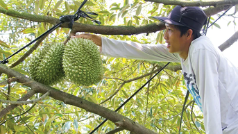 Đổi mới tư duy để thực hiện chuyển đổi xanh