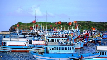 Đặc khu Phú Quý ứng phó với bão KALMAEGI