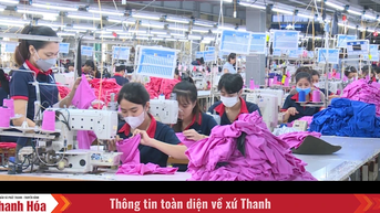 Thích ứng linh hoạt - Dệt may Thanh Hóa giữ vững đà xuất khẩu