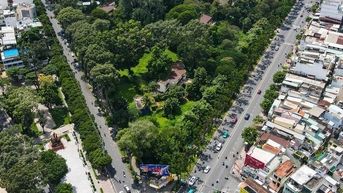 Sun Group cam kết hoàn thành công trình số 1 Lý Thái Tổ trước Tết 2026, giữ nguyên trạng cây xanh