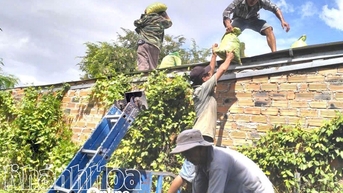 Xã Hòa Trí chủ động ứng khó với bão số 13