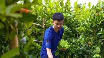 Những miền quê trù phú ven sông Hồng