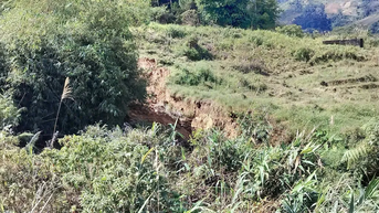 Quảng Ngãi: Xuất hiện nhiều vết nứt trên đồi, uy hiếp 54 hộ dân