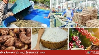 10 tháng, tổng kim ngạch xuất khẩu nông lâm thủy sản đạt hơn 58 tỷ USD