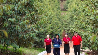 Agribank xanh hóa tín dụng – 'Cầu nối' để phát triển năng lượng xanh tại Việt Nam