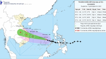 Bão số 13 giật cấp 17, cách đảo Song Tử Tây 300km