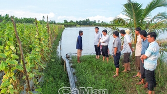 Sớm rà soát mức độ ảnh hưởng sản xuất do triều cường, mưa to gây ra