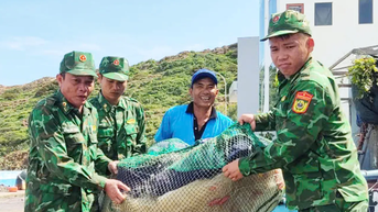 Gia Lai sẵn sàng sơ tán hàng trăm ngàn dân trước bão số 13