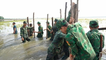 Gần 1.000 ha lúa mất trắng vì thiên tai