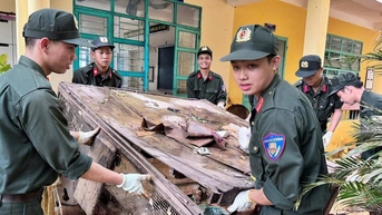 Đà Nẵng cho học sinh nghỉ học từ chiều mai để ứng phó bão Kalmaegi