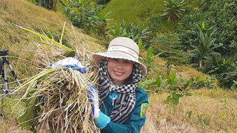 Xã La Êê giúp dân thu hoạch lúa rẫy trước bão số 13