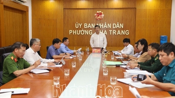 Phường Nha Trang kiểm tra thực địa, rà soát các phương án ứng phó với bão