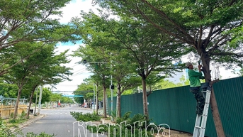 Phường Ninh Chử chủ động phòng, chống bão