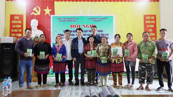 Triển khai hỗ trợ hạt giống, vật tư và tập huấn kỹ thuật trồng dưa chuột tại xã Phong Hải