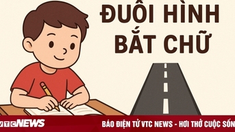 Câu đố này đánh lừa cả 'dân chuyên'