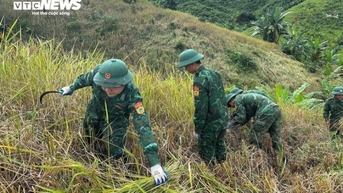 Người dân tất bật chằng chống nhà cửa, đưa tàu lên bờ, gặt lúa “chạy” bão số 13
