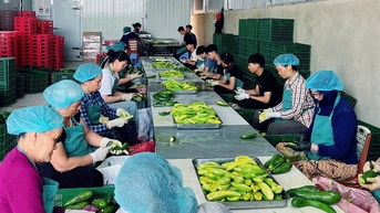 Tìm hướng đi bền vững