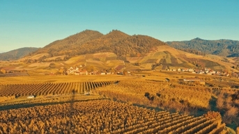 Rừng Đen Đức: Trải nghiệm mùa thu vàng và cuộc sống địa phương