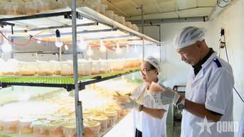 Cựu chiến binh làm nông nghiệp kỹ thuật cao