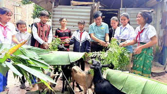 Mô hình chăn nuôi hiệu quả
