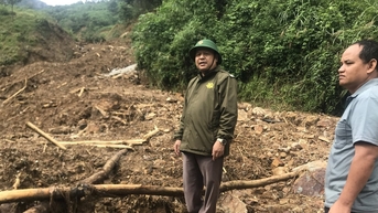 Tra My highlands in the array after natural disaster