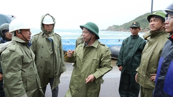 Phó Chủ tịch Thường trực UBND tỉnh Nguyễn Tuấn Thanh kiểm tra công tác ứng phó bão số 13 tại phường Quy Nhơn Đông, Quy Nhơn Nam