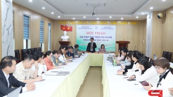 Thúc đẩy phát triển cà phê bền vững